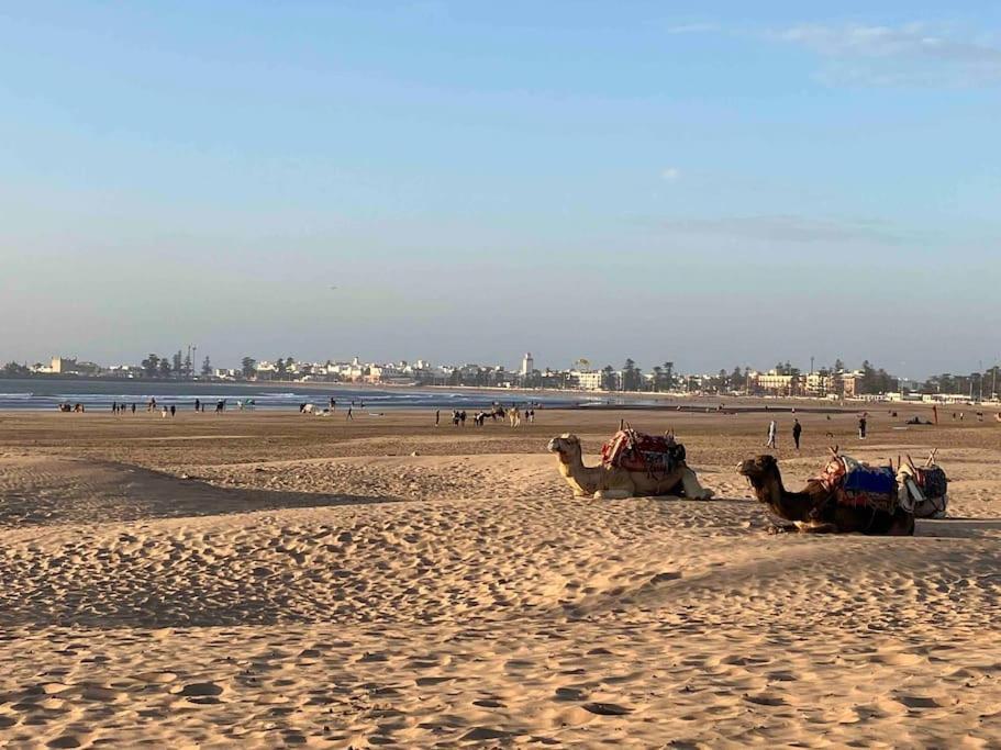 Appartamento Dar Aya Essaouira Esterno foto